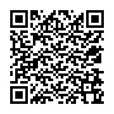 QR Code pour le numéro de téléphone +12538764088