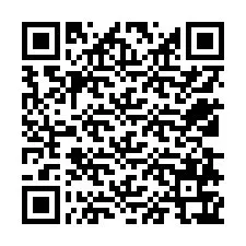 Codice QR per il numero di telefono +12538767569