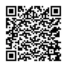 QR Code pour le numéro de téléphone +12538785498