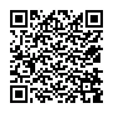 Codice QR per il numero di telefono +12538789606