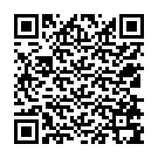 QR Code สำหรับหมายเลขโทรศัพท์ +12538795964