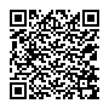 Código QR para número de teléfono +12538795970