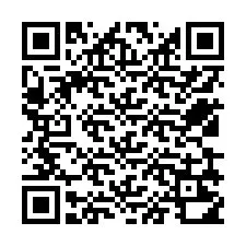 Codice QR per il numero di telefono +12539210023