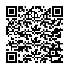 QR-koodi puhelinnumerolle +12539213998