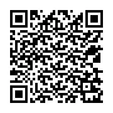 QR-code voor telefoonnummer +12539221120