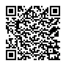 Codice QR per il numero di telefono +12539221491