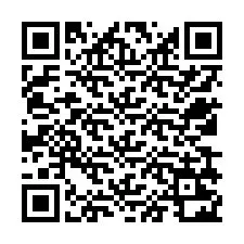 QR Code สำหรับหมายเลขโทรศัพท์ +12539222498