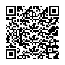 QR Code for Phone number +12539318869