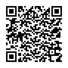 QR Code for Phone number +12539318884