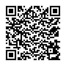 Codice QR per il numero di telefono +12539413706