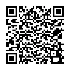 Código QR para número de teléfono +12539490263