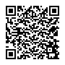 QR-code voor telefoonnummer +12539491732