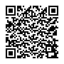 QR-code voor telefoonnummer +12539492624