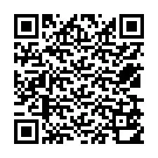 QR-koodi puhelinnumerolle +12539510097