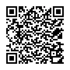 QR-код для номера телефона +12539510183