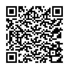 电话号码二维码 +12539510380