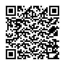 QR Code for Phone number +12539510683