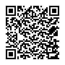 QR-Code für Telefonnummer +12539513357