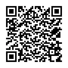 QR Code for Phone number +12539518933