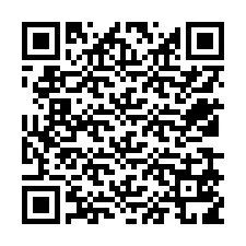 QR Code for Phone number +12539519089