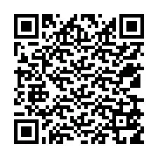 QR Code for Phone number +12539519090