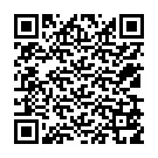 QR-Code für Telefonnummer +12539519091