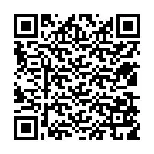 Codice QR per il numero di telefono +12539519382