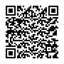 QR-koodi puhelinnumerolle +12539519480