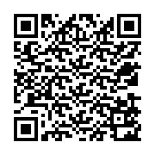 QR Code for Phone number +12539522308