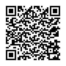 Código QR para número de telefone +12539522308