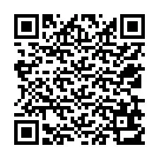 QR-code voor telefoonnummer +12539613528