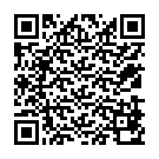 QR Code for Phone number +12539870201
