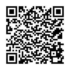 QR Code pour le numéro de téléphone +12539870541