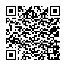 Código QR para número de telefone +12539871969