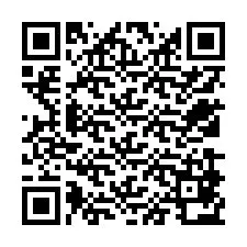 QR Code for Phone number +12539872249