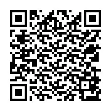 QR Code for Phone number +12539873378