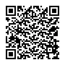 QR Code สำหรับหมายเลขโทรศัพท์ +12539874674