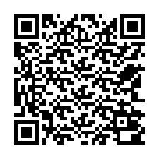 QR-kood telefoninumbri jaoks +12542000413