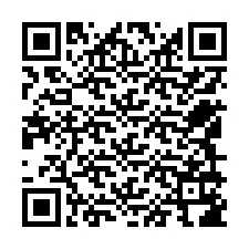 Codice QR per il numero di telefono +12549186963