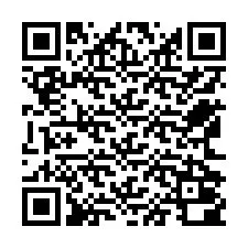 QR-Code für Telefonnummer +12562000213