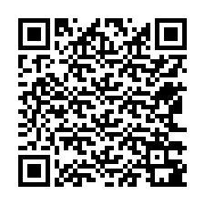 QR-код для номера телефона +12563381692