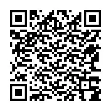 Codice QR per il numero di telefono +12563384882