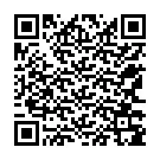 Codice QR per il numero di telefono +12563385770