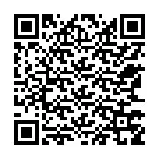 QR kód a telefonszámhoz +12563759084