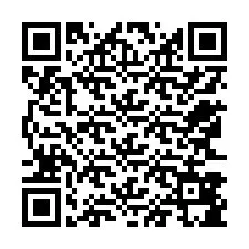 QR-code voor telefoonnummer +12563885479