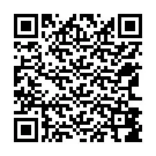 Codice QR per il numero di telefono +12563886240