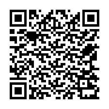 QR-Code für Telefonnummer +12565231313