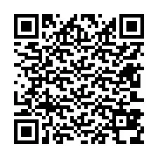 QR-код для номера телефона +12603838446