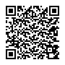 Codice QR per il numero di telefono +12603850494