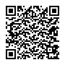 Codice QR per il numero di telefono +12603871075